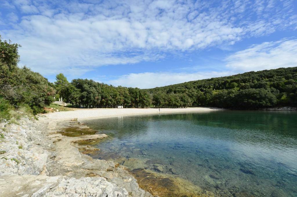 Villa Kuca Za Odmor Dean à Pavicini Extérieur photo